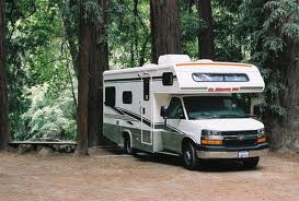 camper_redwood_trees